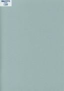 Столешница ″СЕРЕБРО″ Матовая ( 116М )